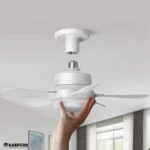 Imagen anterior del producto